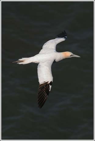 IMG_3846(1)