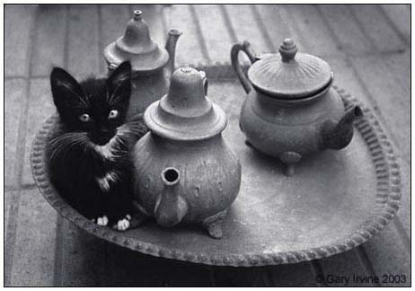 LittleTeapot